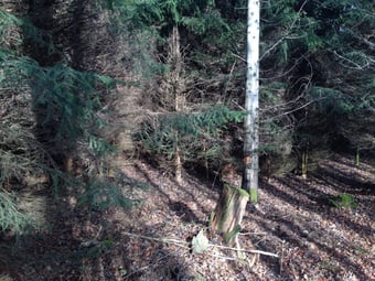 Vor der Aufarbeitung