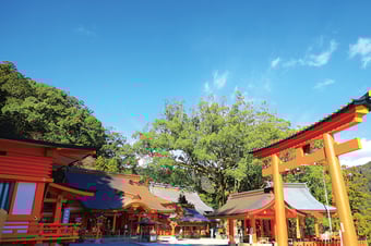 写真提供：（公社）和歌山県観光連盟