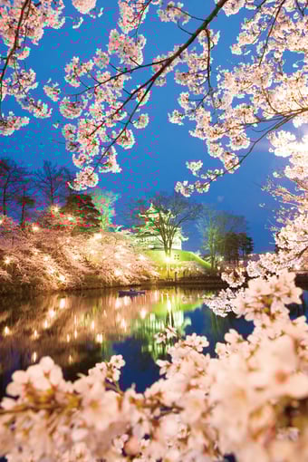 （公社）上越観光コンベンション協会