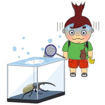 展示ケースや標本箱のガラスをたたかない。