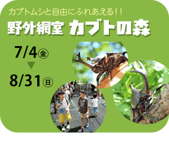 野外網室「カブトの森」