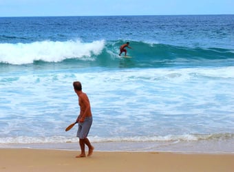 die Surfer hatten hier ein ideales Revier