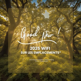 camping peche dordogne wifi