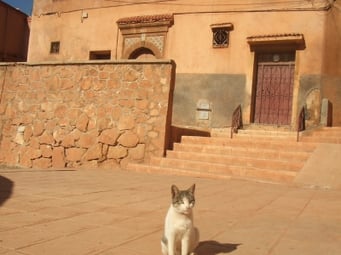 モロッコの田舎町。モロッコに長期・中期滞在してみたい方へ Mika
