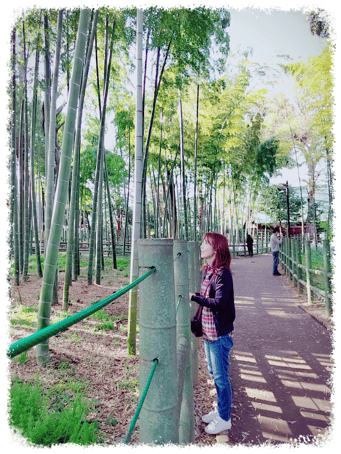 田園調布まきピアノ声楽教室の講師イメージ写真