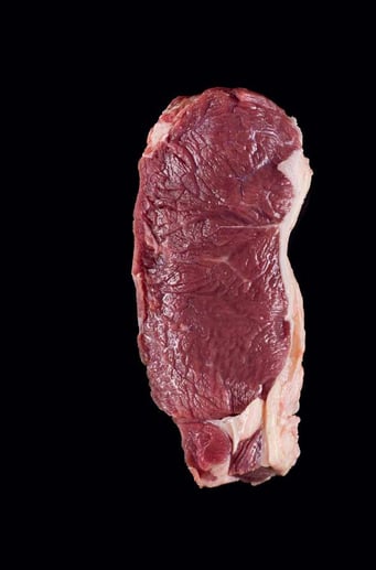 FALSTAFF MAGAZIN JUBILÄUM FOTO KONRAD LIMBECK