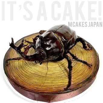カブトムシ昆虫立体ケーキ【誕生日/イベント/オーダーメイドケーキ】