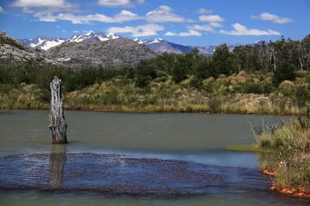 ... das Bilderbuch Patagonien