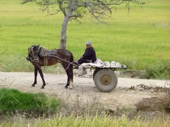 Einfacher Transport auf dem Land