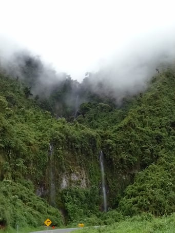 Durch den Bergwald an die Küste hinunter