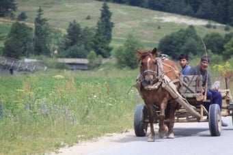 Pferdewagen sind immer noch ein verbreitetes Transportmittel