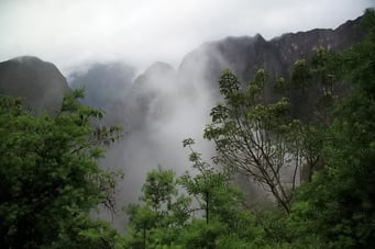 ... die Vegetation wird immer tropischer