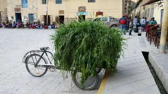 Ollantaytambo Dorfplatz