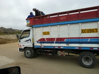Lastwagen könne auch verschieden verwendet werden. So...