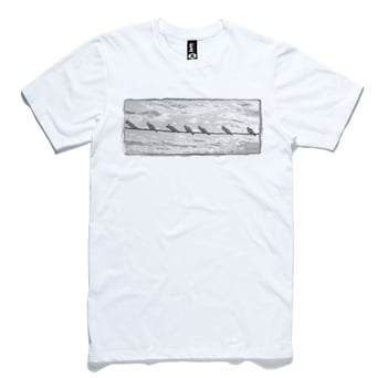 cockatoos on a wire white