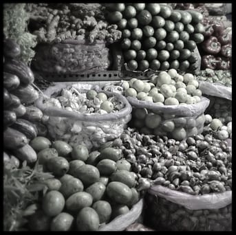 Biel TCM, Ernährung Biel, 5 Elemente, Akupunktur, Massage Tuina TCM, Traditionelle Chinesische Medizin acu natura TCM Biel 