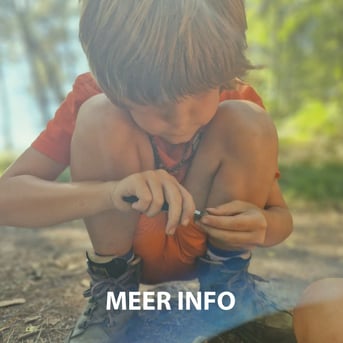 Natuurbeleving programma's op maat voor BSO en Basisonderwijs.