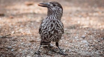 Foto: Eike Lena Neuschulz