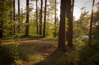 Urlaub und Paarcoaching an einem schönen Ort
