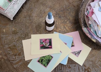 Bachblüten_Körper_Seele_Geist_Heilen_Harmonie