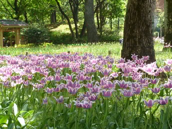 クリックして拡大