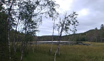 Les eaux et forêts, une association indispensable pour affronter le changement climatique.