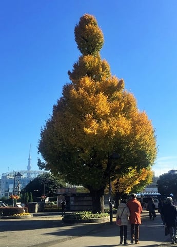 横浜　障害年金　電話相談　初回無料