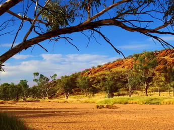 ein trockendes Flusstal im Abendlicht