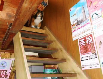 20130110 LL Stepsから心配そうに覗くエリー