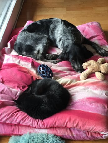 2 Monate nach dem Start in mein neues Leben