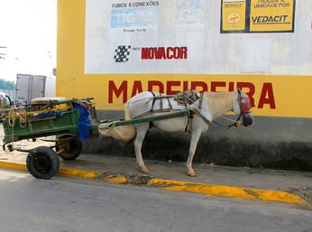 nur Pferde-Fuhrwerke durften in die Altstadt 