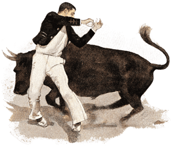 orthe, landes, aquitaine, peyrehorade, course landaise, ganaderia, sauteur, cordier, talanquère, vache