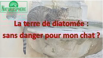 Terre de diatomée chat naturasphere Pernes les fontaines