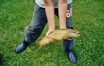 "27.9.2006, Wiesenbach, mit Kescher, Bachforelle, 43cm" - so lautet die Notiz im Fangbuch