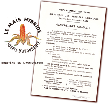 Orthe, landes, aquitaine, sud-ouest, france, maïs, hybride, millas, OGM, blé d'inde, millasson