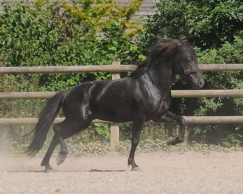 August 2009, Freyelhof