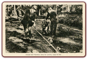 orthe landes peyrehorade aquitaine chasse, bois, foret, veneur, curée, gibier, sorde hastingues cagnotte gave adour saumon chalosse abbaye