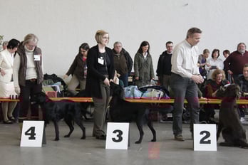 Jugendklasse (9 Monate)