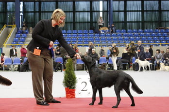 Jüngstenklasse (knapp 8 Monate)