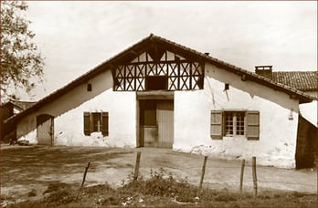 orthe, st etienne d’orthe, adour,  gave, peyrehorade, landes, aquitaine, dax, arthous, cagnotte, sorde, barthes, rasport, alose, saumon, kiwi, pedelucq, hondelatte, miremont