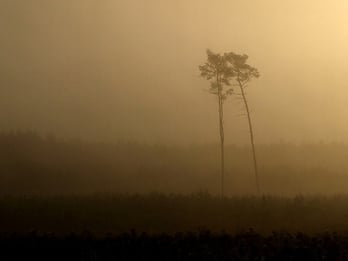 CC BY-NC-ND 2.0 by Radek Krol