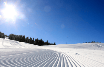 Jura, La Pesse, textile, location, location de ski, ski, ski nordique, skating, ski à farter, ski classique, ski à peluche, ski de fond, snowboard, farts, fartage, ski roue, magasin de sport, réparation, entretien, service, conseil, technicien du nordique