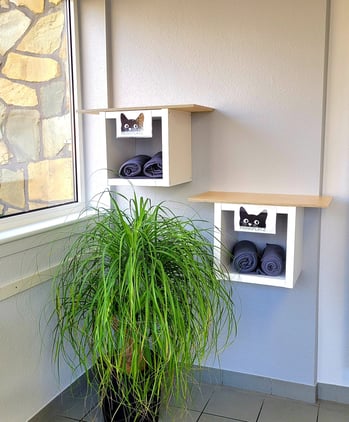 Das Wartezimmer unserer Tierarztpraxis mit einem gemütlichen Plätzchen für Katzenboxen.