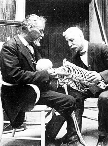 À OSTEOPATHE LYON CENTRE, Francis NYOCK (Ostéopathe D.O. à Lyon et à Albigny sur Saône) accueille nourrissons, enfants, femmes enceintes, seniors, sportifs, les personnes complètement bloquées et les troubles de la voix.