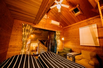 Trailer oneとCotton tent 