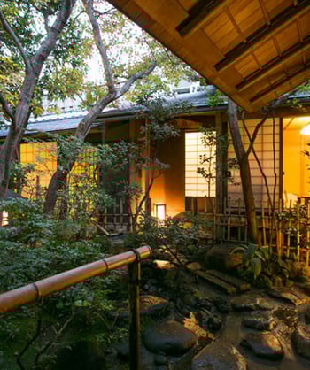 ライトアップされた日本庭園