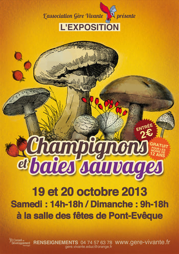 création affiche nature