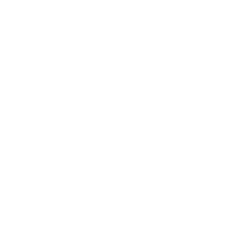 ライアンカリーホームページ