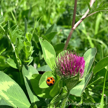 Photo by Arno Smit on Unsplash