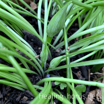 Photo by Arno Smit on Unsplash